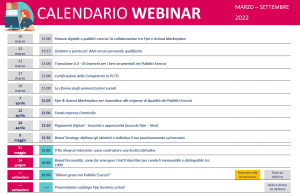 I Webinar Fipe 2022