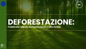Deforestazione: pubblicato l’elenco dei Paesi a basso o alto rischio